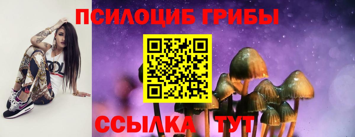 продажа наркотиков  Псилоцибиновые грибы мухоморы  Вход с VPN  Кандалакша 